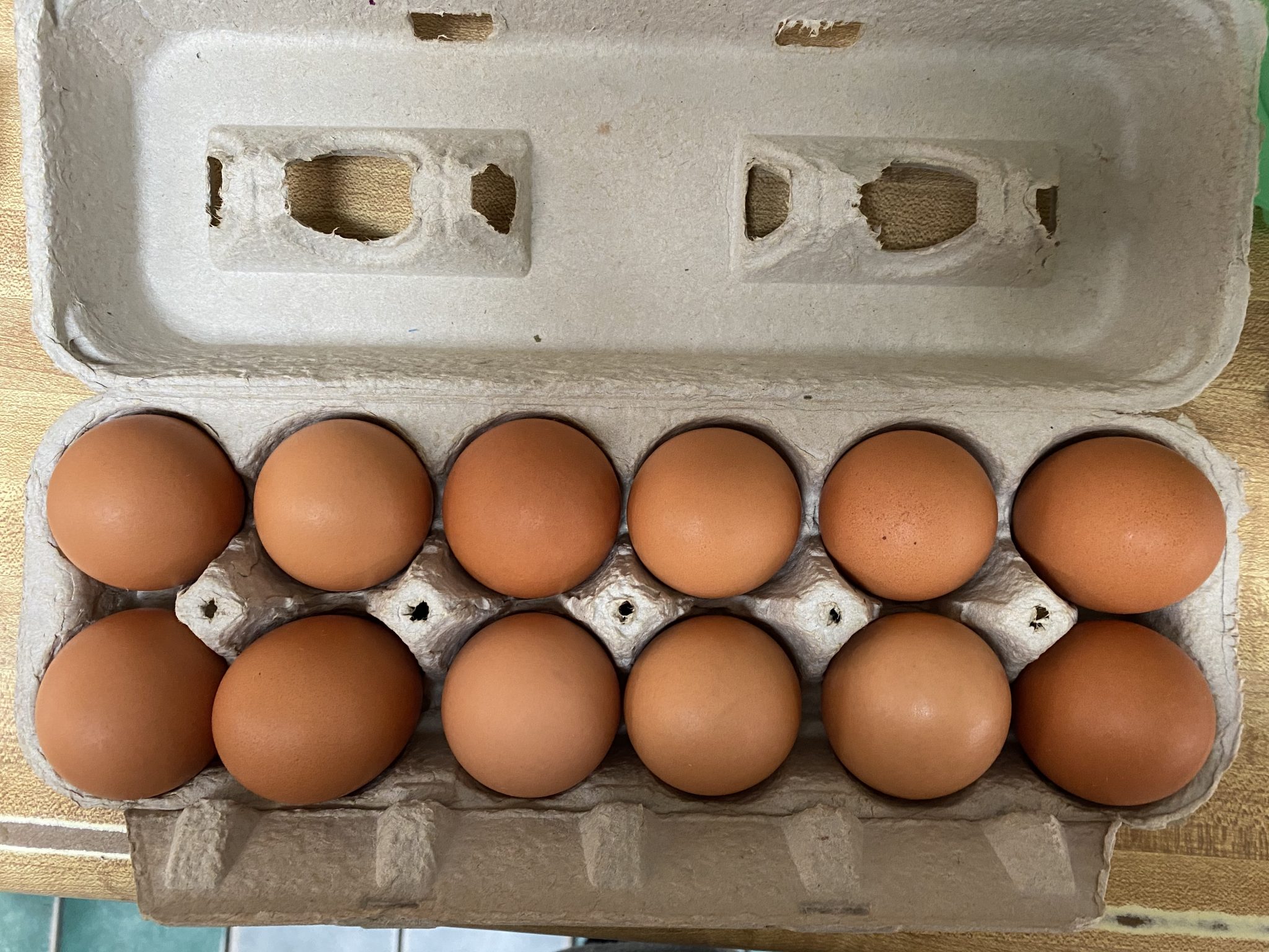 Free Range Organic Eggs – 1 Dozen- IN STORE PICK UP ONLY